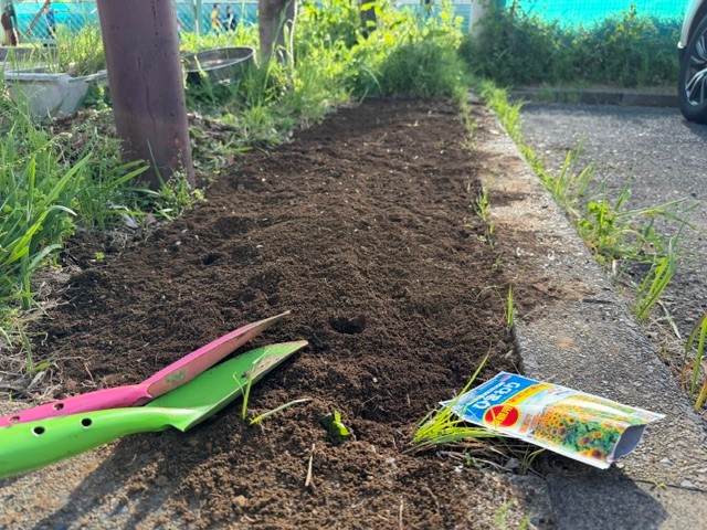 R80420 ひまわり2